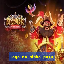 jogo do bicho puxa de dona maria